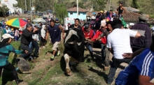 Imagen Fiestas Señor de Girón (Fies